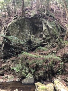 buddhas carved in rock