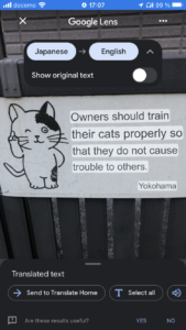 cat sign